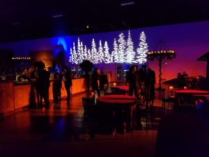 Decorate your corporate holiday party with a wintry forest gobo projection. 