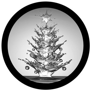 Tree Splash - GSG N1092-gs - Holiday Gobo - BW