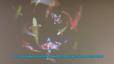 Animated gif of koi fish gobo being projected through 3d prism lens on ECO-Spot C40 projector from GoboSource.