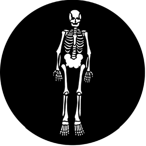 Skeleton - RSS 77557 - Stock Gobo Steel