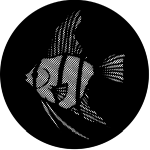 Meshed Angel Fish - RSS 77612 - Stock Gobo Steel