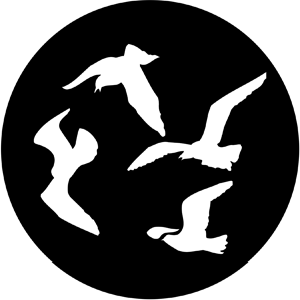 Gulls - RSS 78096 - Stock Gobo Steel