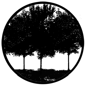 Tree Silhouette 1 - RSS 78431 - Stock Gobo Steel