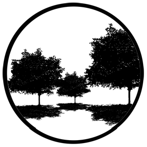 Tree Silhouette 4 - RSS 78435 - Stock Gobo Steel