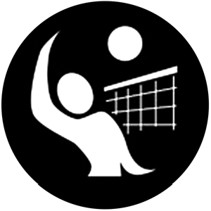 Volleyball 2 - RSS 78501 - Stock Gobo Steel